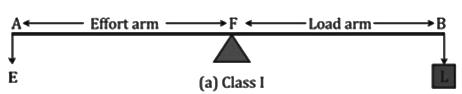 Revision Notes: Machines | Physics Class 10 ICSE