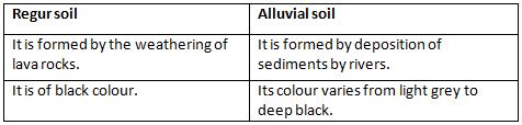 Morning Star Textbook Solutions: Soils in India | Geography Class 10 ICSE