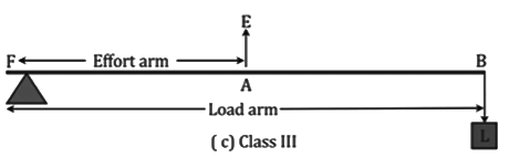 Revision Notes: Machines | Physics Class 10 ICSE