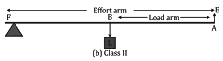 Revision Notes: Machines | Physics Class 10 ICSE