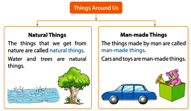 Computer: A Smart Machine Chapter Notes | Computer Studies Class 1 ICSE