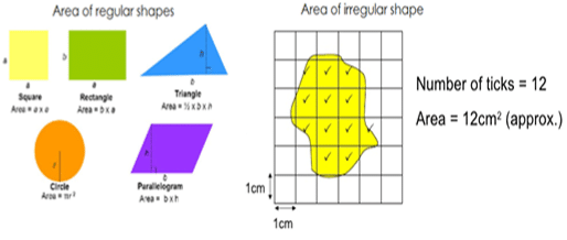 Revision Notes: Measurement | Physics Class 6 ICSE
