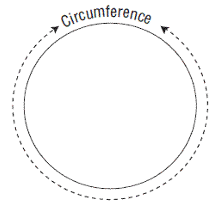 Revision Notes: Circle: Arc and Cyclic Properties | Mathematics Class 10 ICSE