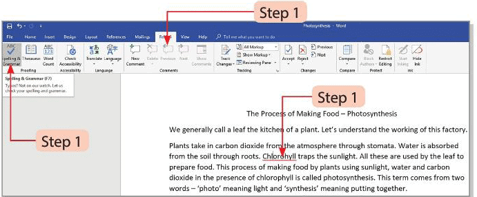 Tools of Word Processor Chapter Notes | Computer Studies Class 4 ICSE