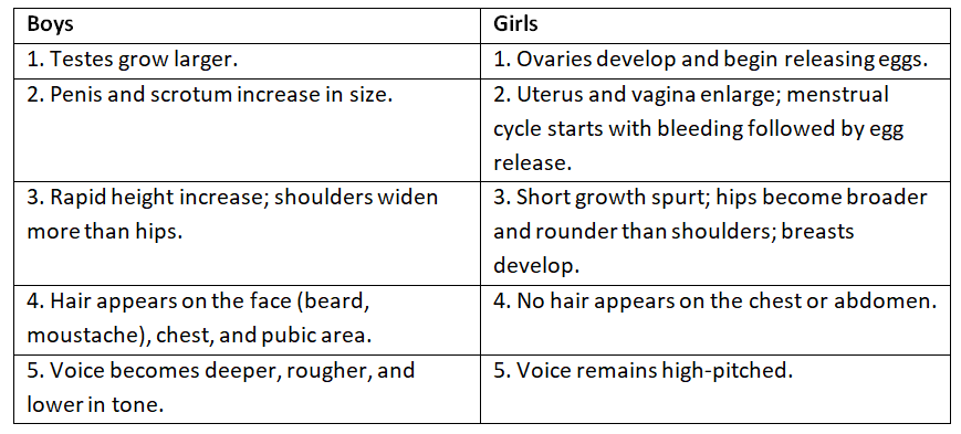 Reproduction in Humans Chapter Notes | Biology Class 8 ICSE
