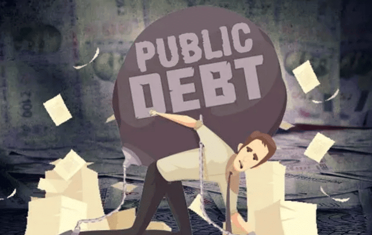 Revision Notes: Public Debt | Economics Class 10 ICSE