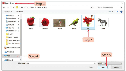 PowerPoint 2016 Chapter Notes | Computer Studies Class 4 ICSE