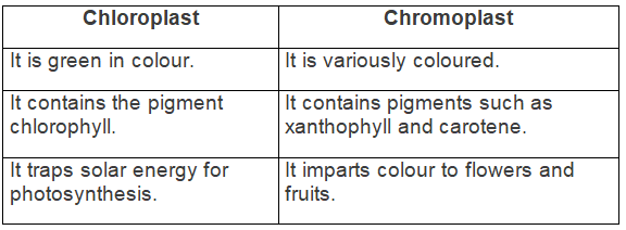 Selina Textbook Solutions: Cell - The Structural and Functional Unit of Life | Biology Class 10 ICSE