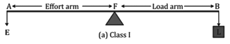 Revision Notes: Machines | Physics Class 10 ICSE