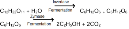 Revision Notes: Organic Chemistry - Hydrocarbons | Chemistry Class 10 ICSE