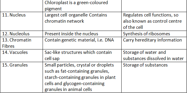 Revision Notes: Cell - The Structural and Functional Unit of Life | Biology Class 10 ICSE