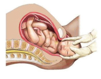Revision Notes: The Reproductive System | Biology and Biochemistry for MCAT