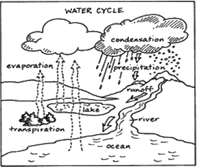Revision Notes: Water | Geography for Grade 6