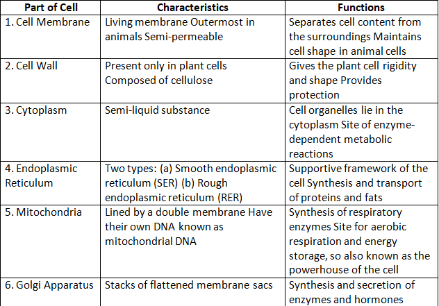 Revision Notes: Cell - The Structural and Functional Unit of Life | Biology Class 10 ICSE
