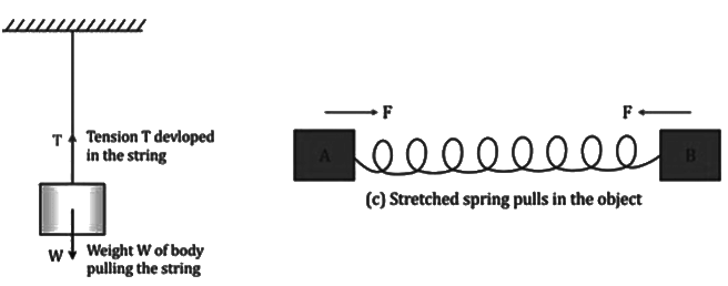 Revision Notes: Force | Physics Class 10 ICSE