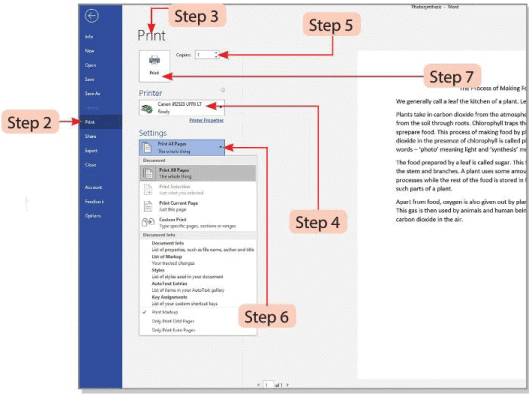 Tools of Word Processor Chapter Notes | Computer Studies Class 4 ICSE
