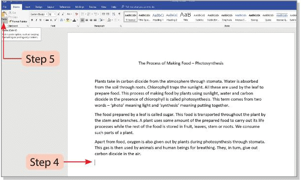 Tools of Word Processor Chapter Notes | Computer Studies Class 4 ICSE