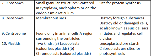 Revision Notes: Cell - The Structural and Functional Unit of Life | Biology Class 10 ICSE