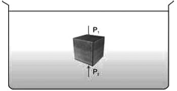 Revision Notes: Upthrust In Fluids, Archimedes` Principle And Floatation | Physics Class 9 ICSE