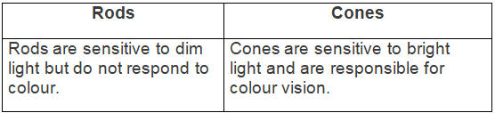 Selina Textbook Solutions: Sense Organs | Biology Class 10 ICSE