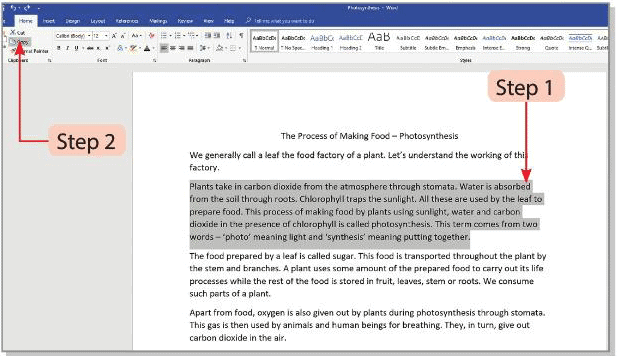 Tools of Word Processor Chapter Notes | Computer Studies Class 4 ICSE