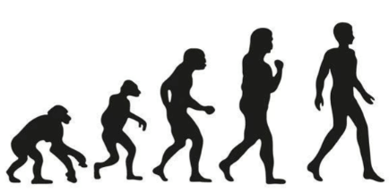 Revision Notes: Human Evolution | Biology Class 10 ICSE