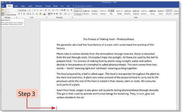 Tools of Word Processor Chapter Notes | Computer Studies Class 4 ICSE