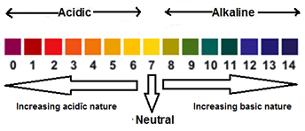 pH Scale