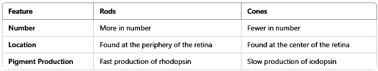 Revision Notes: Sense Organs | Biology for SSS 3