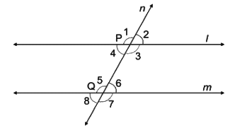 Revision Notes: Properties of Angles and Lines - Including Parallel | Mathematics Class 6 ICSE