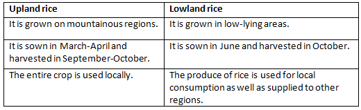 Morning Star Textbook Solutions: Agriculture in India I-Food Crops | Geography Class 10 ICSE