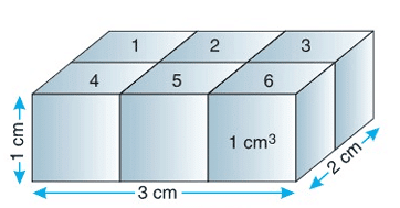 Physical Quantities and Measurement Chapter Notes | Physics Class 7 ICSE