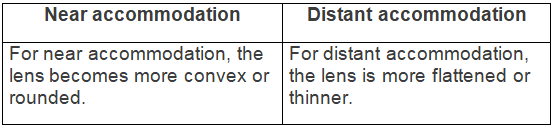 Selina Textbook Solutions: Sense Organs | Biology Class 10 ICSE