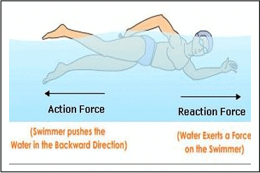 Revision Notes: Force | Physics Class 6 ICSE