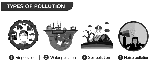 Revision Notes: Pollution - A Rising Environmental Problem | Biology Class 10 ICSE