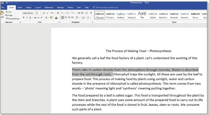 Tools of Word Processor Chapter Notes | Computer Studies Class 4 ICSE