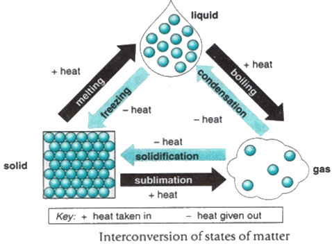 Revision Notes: The Nature of Matter | Preparation for EmSAT Grade 6