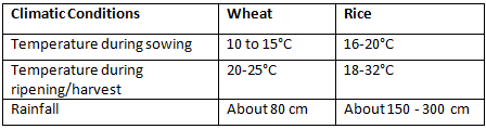 Morning Star Textbook Solutions: Agriculture in India I-Food Crops | Geography Class 10 ICSE
