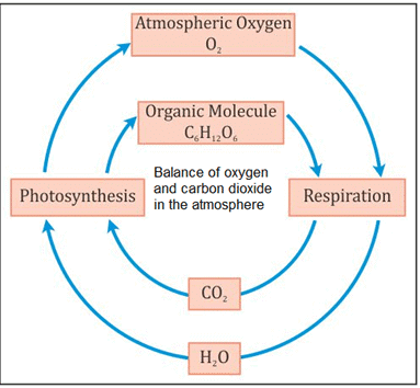 Revision Notes: Air | Chemistry for SSS 2