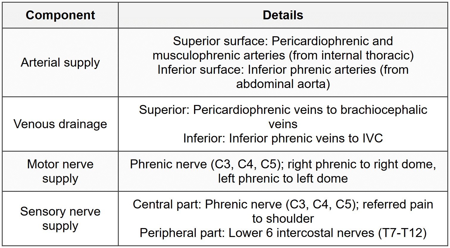 5.4 Blood Supply and Nerve Supply