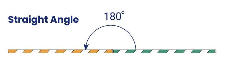 Angles as Turns Chapter Notes | Mathematics (Maths Mela) Class 5 - New NCERT