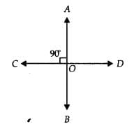 NCERT Exemplar Solutions: Lines & Angles | Mathematics (Maths) Class 9