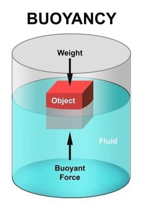 Unit Test (Solutions): Exploring Forces | Science Curiosity Class 8 -  New NCERT