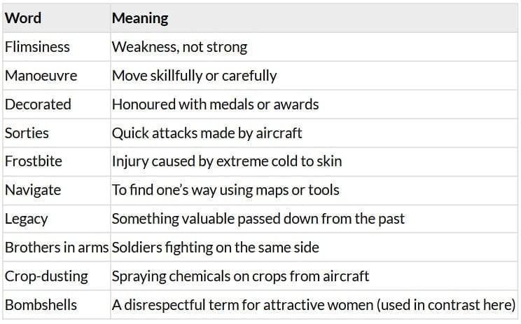 Night Witches Chapter Notes | Gul Mohar Class 7: Book Solutions, Summaries & Worksheets