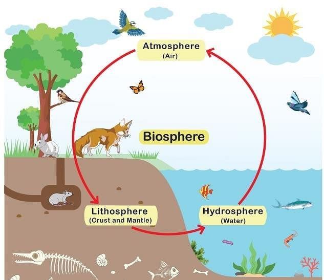 Class 7 Social Science Chapter 1 Question Answers - Environment