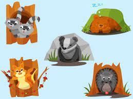 Adaptation in Animals - 2 Class 6 Worksheet Science