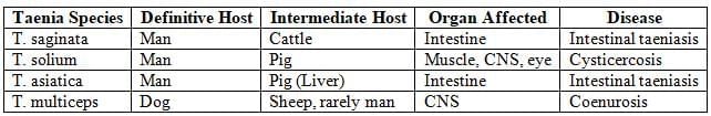 Cestodes and Trematodes Chapter Notes | Microbiology - NEET PG