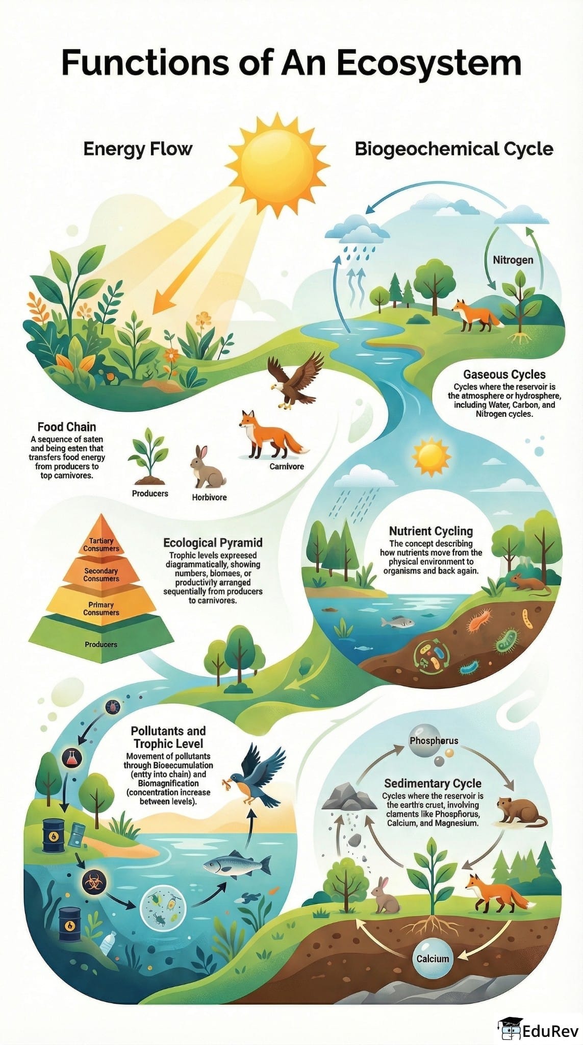 Ecosystem Functionality Images Infographics Functions of an Ecosystem - Environment for UPSC CSE PDF ...