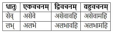 धातुरूपाणि Chapter Notes | Chapter Notes For Class 8