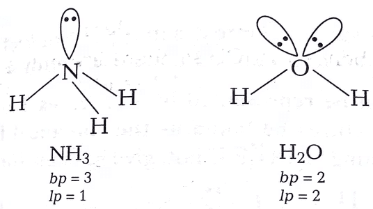 NCERT Solutions: Chemical Bonding & Molecular Structure